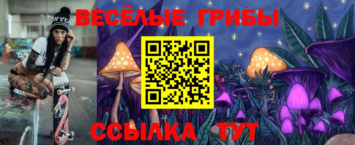 Орехово-Зуево  где купить наркотик  Вход с VPN  Псилоцибиновые грибы Cubensis 