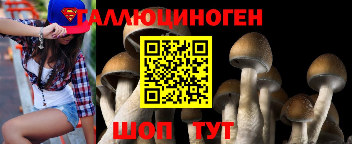 Галлюциногенные грибы GOLDEN TEACHER Орехово-Зуево